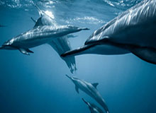 开云体育平台-李楠迎CBA执教首胜！江苏打破青岛不败金身